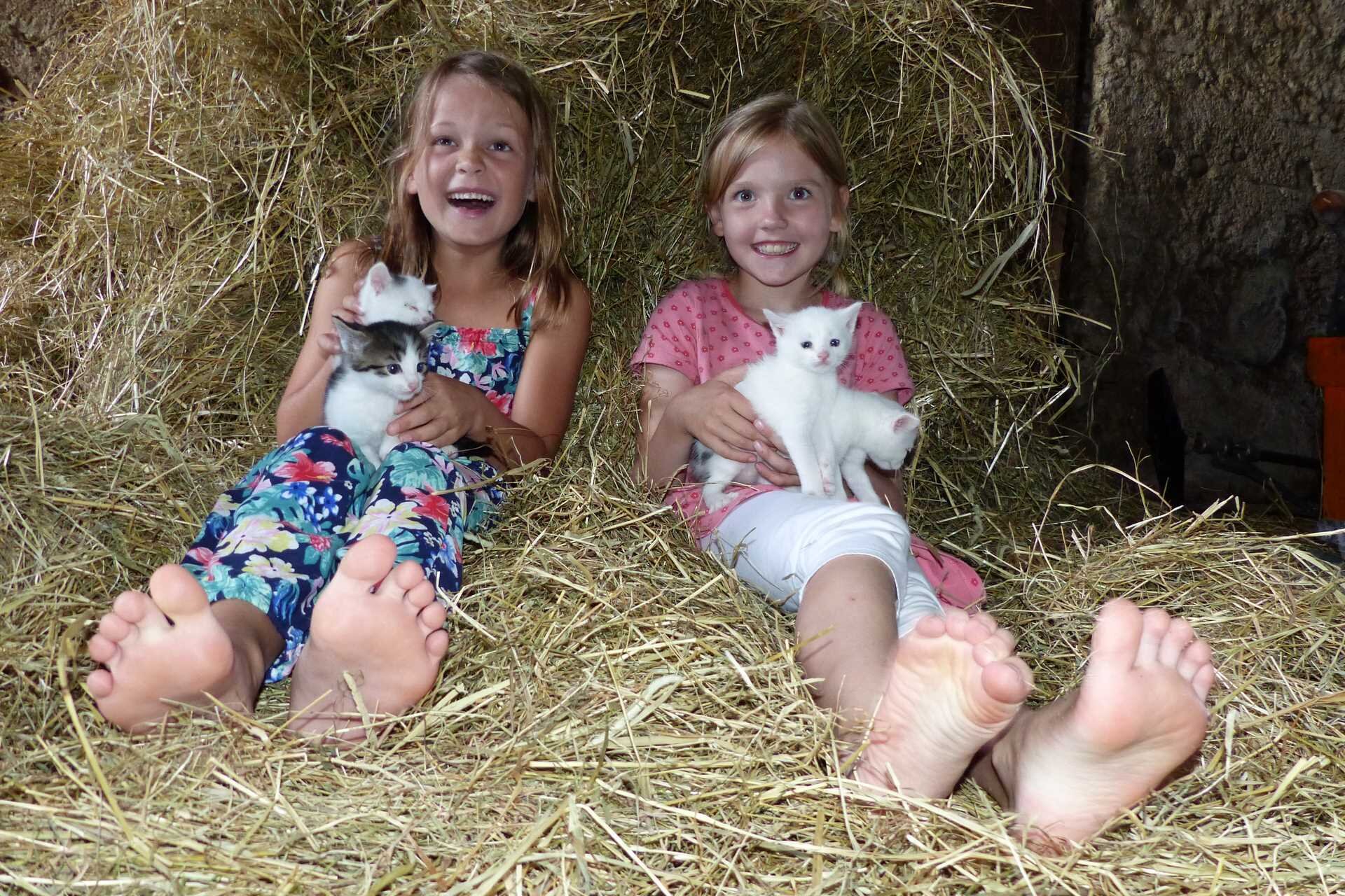 Familienfreundlicher Bauernhofurlaub am Chiemsee